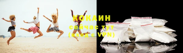 гидра Новодвинск