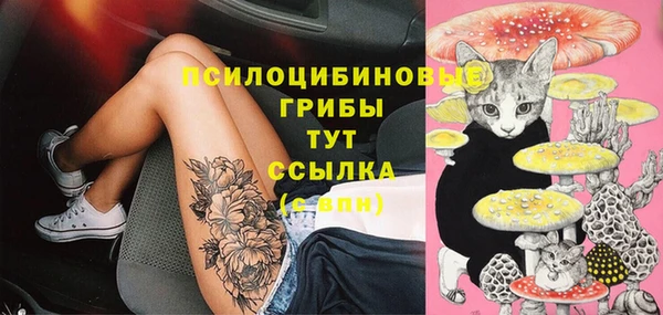 гидра Новодвинск