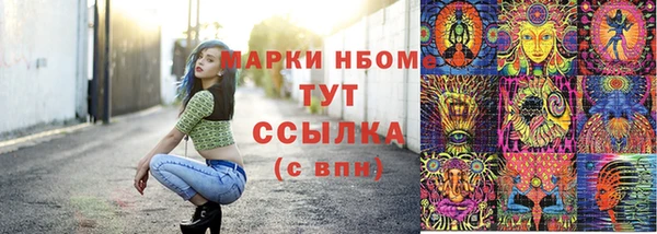 винт Новокубанск