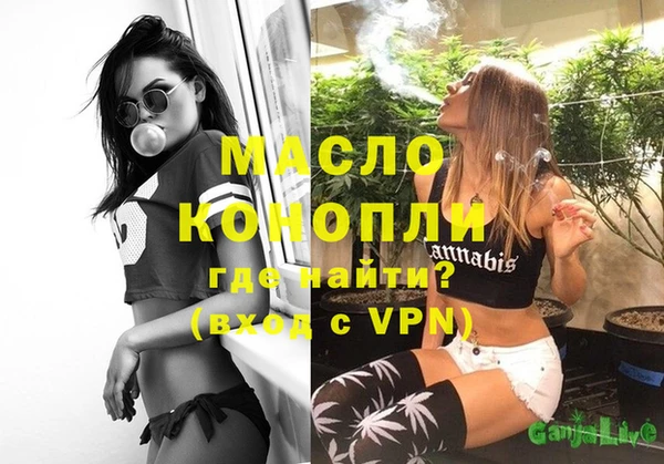 гидра Новодвинск
