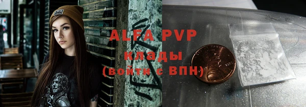 гидра Новодвинск
